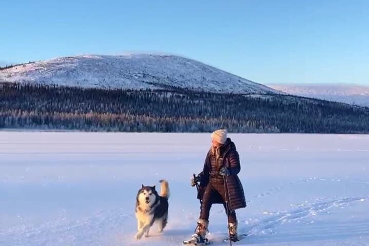 Reindeer Farm Visit and Snowshoe Adventure in wilderness Raattama