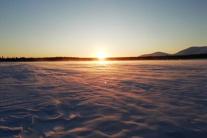 Reindeer Farm Visit and Snowshoe Adventure in wilderness Raattama