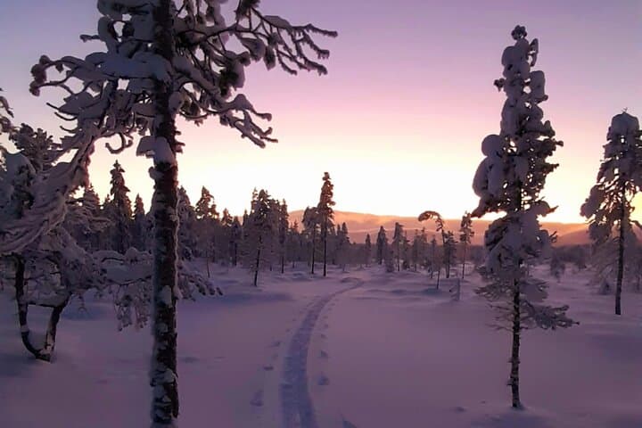 Reindeer Farm Visit and Snowshoe Adventure in wilderness Raattama