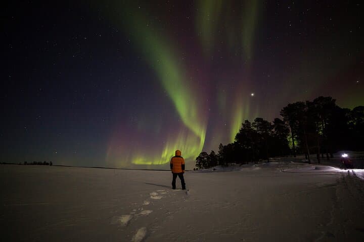 Rovaniemi Private 3 Hours Northern Lights Aurora Adventure Tour