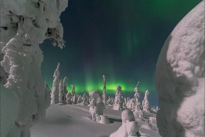 Rovaniemi Private 3 Hours Northern Lights Aurora Adventure Tour