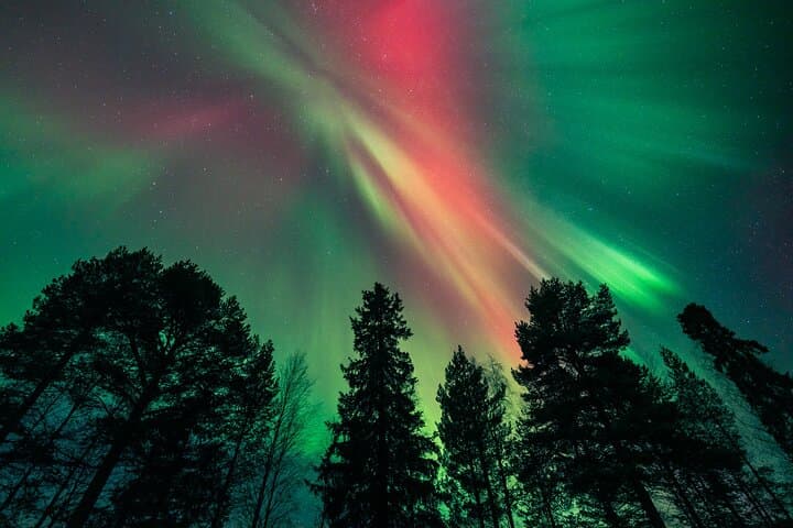 Rovaniemi: Private Aurora Hunt with Money Back Guarantee