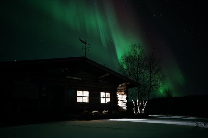 Smoked Salmon and Sauna Experience in Lappish Wilderness