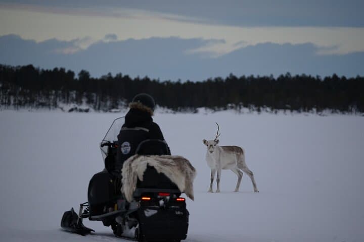 Mini Snowmobile Expedition in Wild Lapland