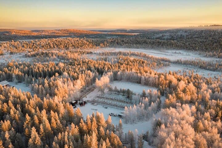 Husky Adventure 10km