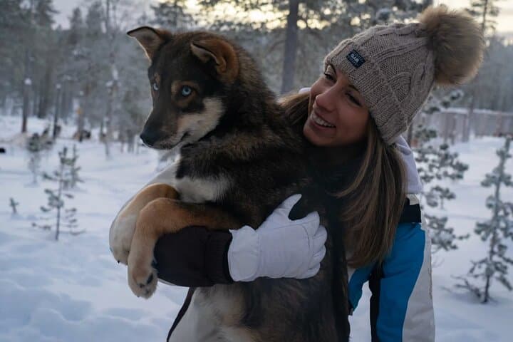 Husky Adventure 10km