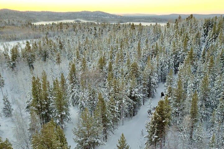 Husky Adventure 10km