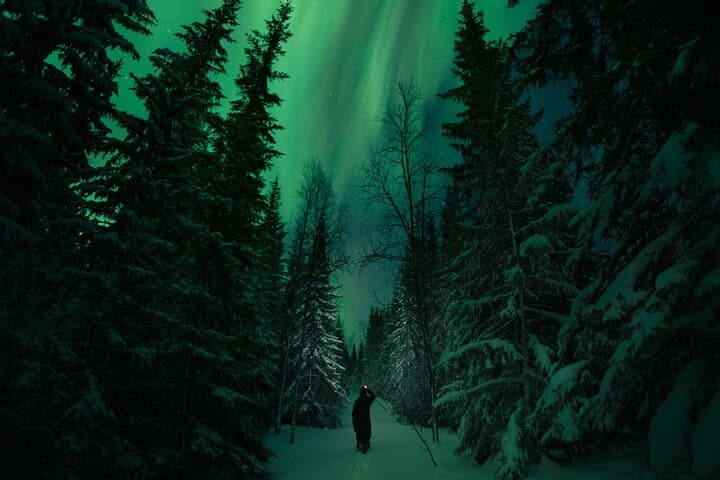 Private Northern Lights Hunt in the Wilderness - Group up to 8