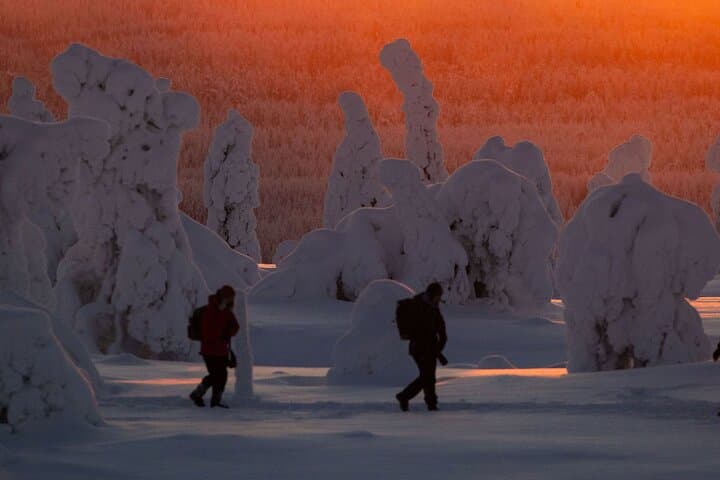 Riisitunturi Snow Monsters Winter Hike from Rovaniemi with Lunch