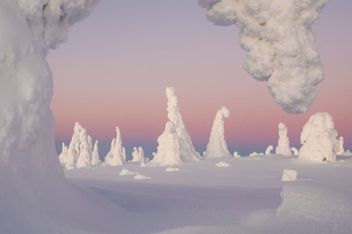 Riisitunturi Snow Monsters Winter Hike from Rovaniemi with Lunch