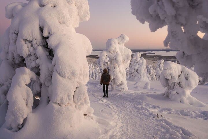 Riisitunturi Snow Monsters Winter Hike from Rovaniemi with Lunch