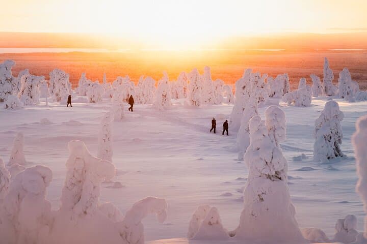 Riisitunturi Snow Monsters Winter Hike from Rovaniemi with Lunch