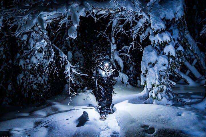 LEVI Night Star Walk on Snowshoes in the Wilderness(ALL INCLUDED)