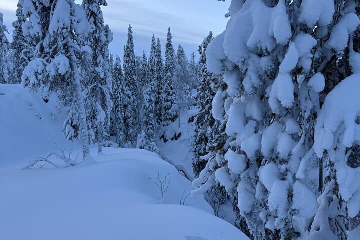Private Snowshoeing Tour In Luosto With Outdoor Meal