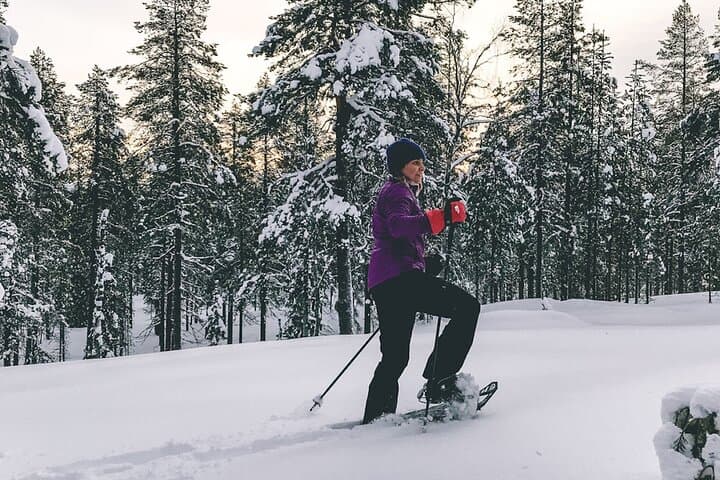 Private Snowshoeing Tour In Luosto With Outdoor Meal