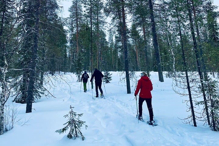 Private Snowshoeing Tour In Luosto With Outdoor Meal