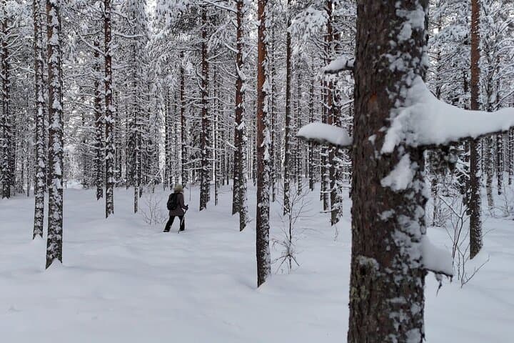 Exploring one of many different types of forests that can be found on our ski trails