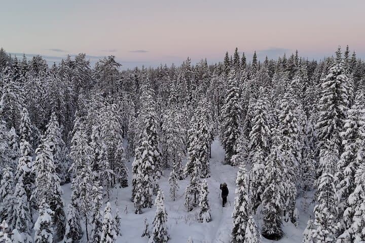 Breaking in a trail built through dense forest