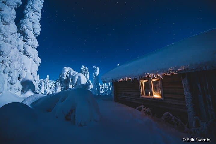 Riisitunturi National Park Car Tour from Rovaniemi