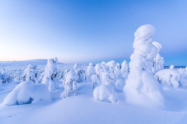Riisitunturi National Park Car Tour from Rovaniemi