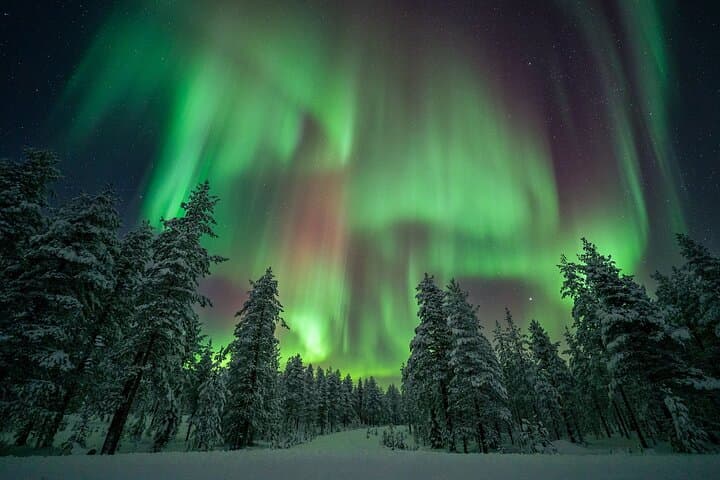 Rovaniemi Northern Lights Hunt With A Professional Photographer