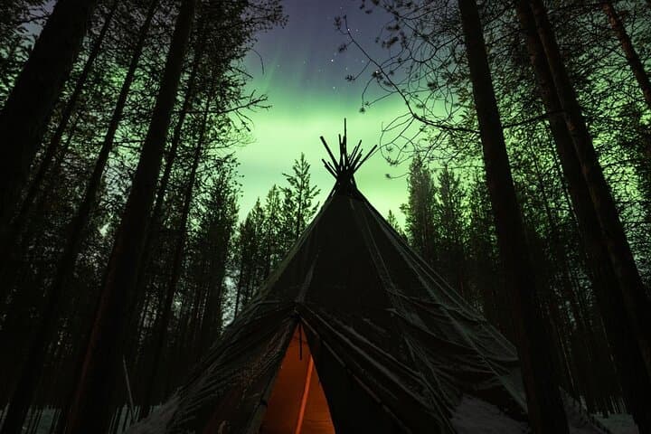 Ivalo: Aurora Hunting with Reindeer