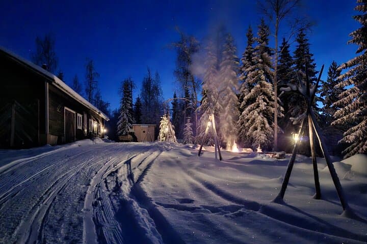 Rovaniemi: Self-drive Husky Safari to a Reindeer farm