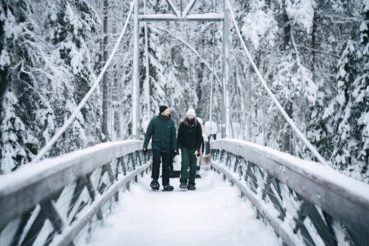 Winter walk across a wooden bridge in a snowy forest
