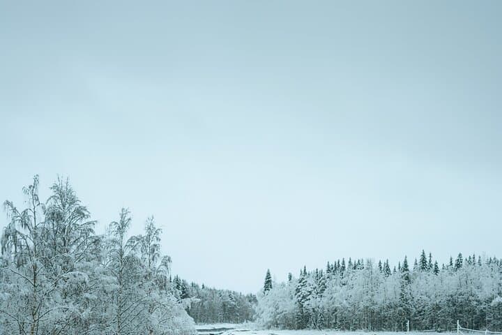 Rovaniemi: Daytrip Santa Village, Arktikum, Lunch and Photo