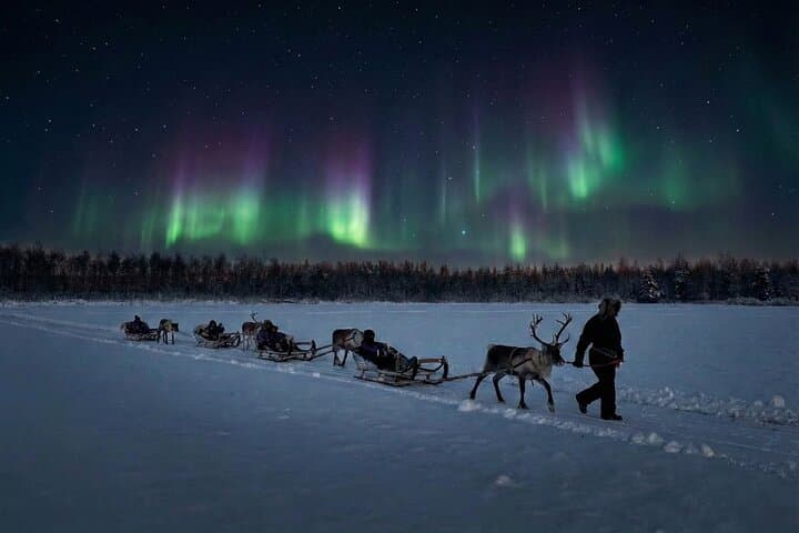 Reindeer Sleigh Ride Across the Night in Apukka Resort Rovaniemi