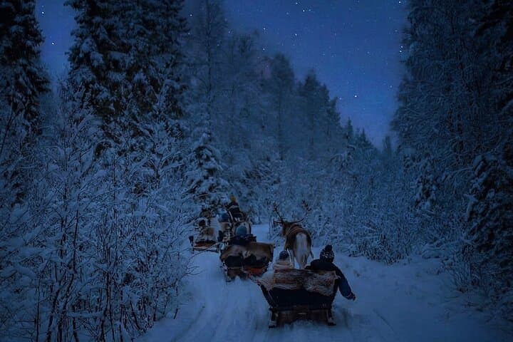 Reindeer Sleigh Ride Across the Night in Apukka Resort Rovaniemi