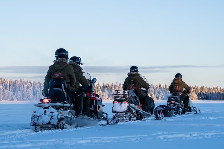 Ranua Snowmobile Safari Adventure on Winter Lake 1 hour