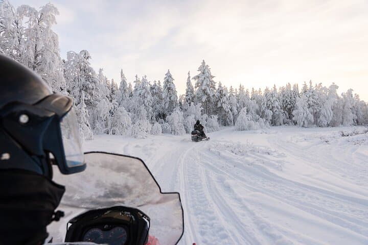 Ranua Snowmobile Safari Adventure on Winter Lake 1 hour