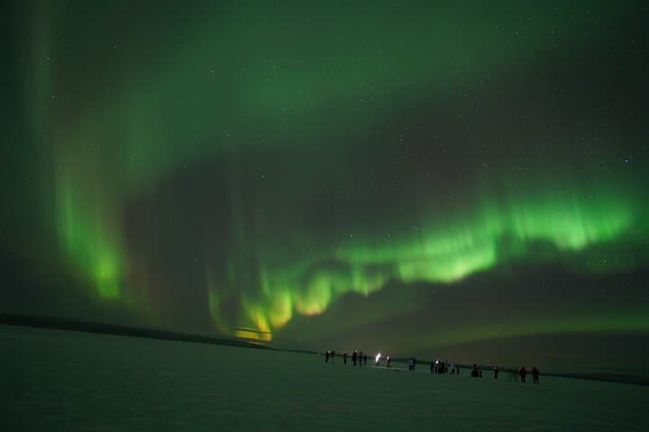 Rovaniemi Northern Lights Guaranteed (Small Group) Hunt + HD Pics