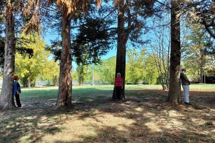 Helsinki: Restorative Forest Experience on Seurasaari Island