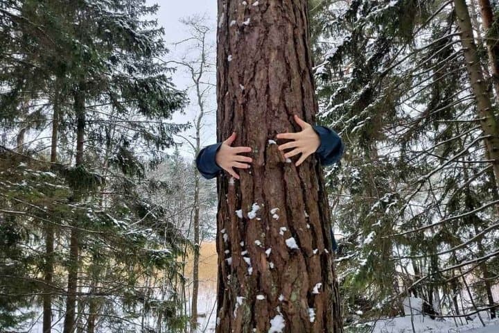 Helsinki: Restorative Forest Experience on Seurasaari Island