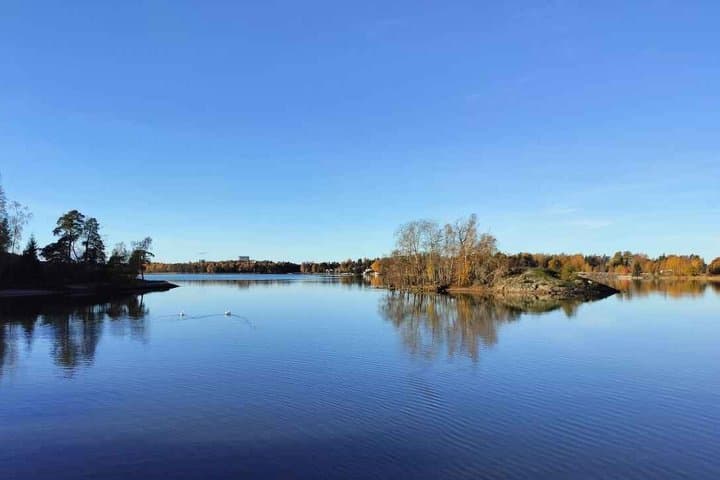 Helsinki: Restorative Forest Experience on Seurasaari Island