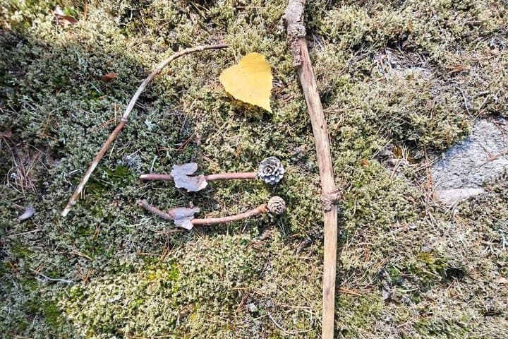Helsinki: Restorative Forest Experience on Seurasaari Island