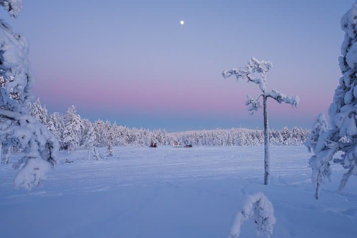 Family Snowmobile Safari in Rovaniemi in small group