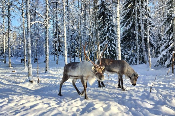 Our remote location ensures a peaceful and calm living conditions for our animals