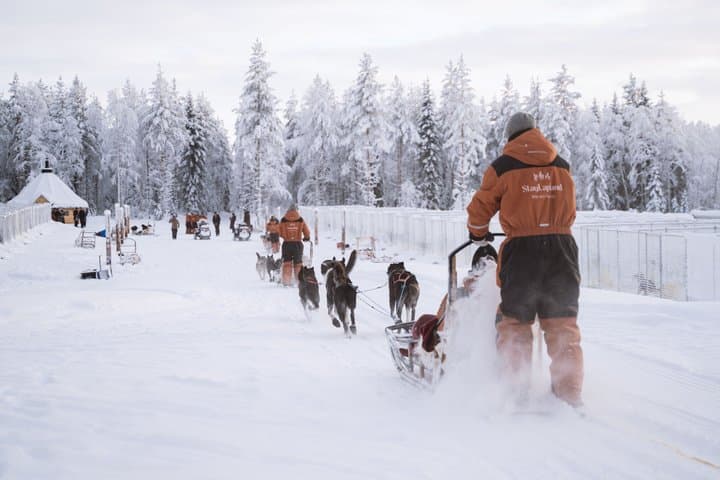 Nulkki Husky Adventure