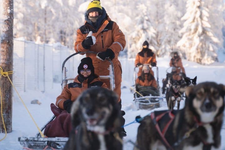 Nulkki Husky Adventure