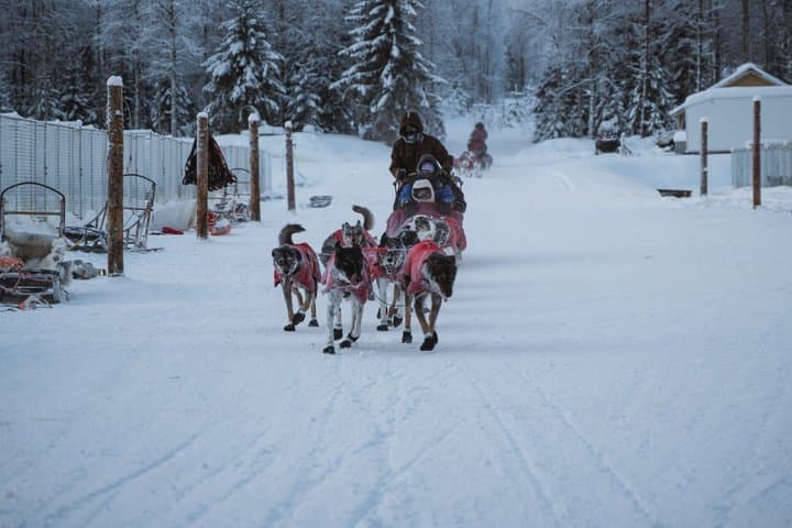 Nulkki Husky Adventure