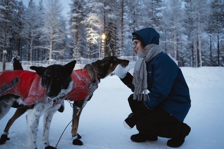Nulkki Husky Adventure