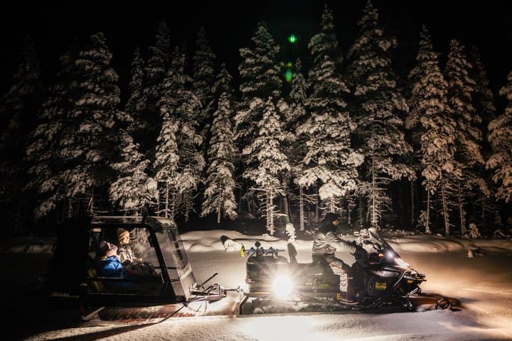 Arctic Night Odyssey: Northern Lights Drive & Snowmobile Safari