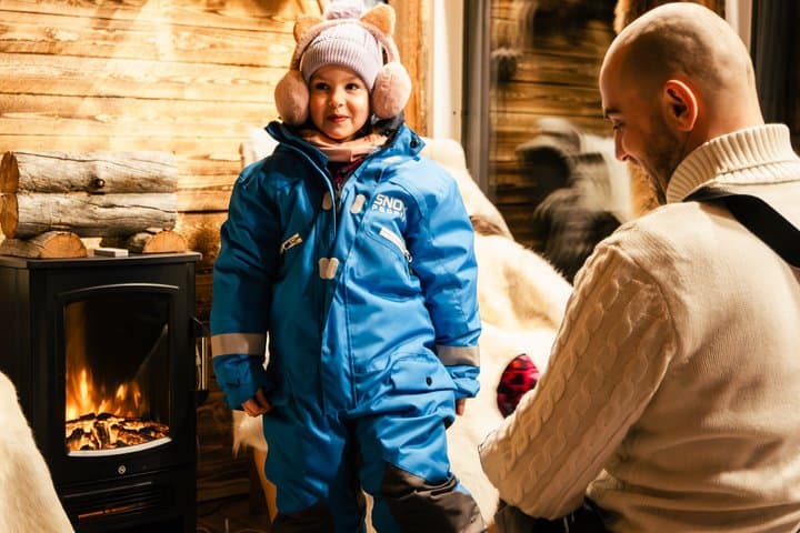 Arctic Night Odyssey: Northern Lights Drive & Snowmobile Safari