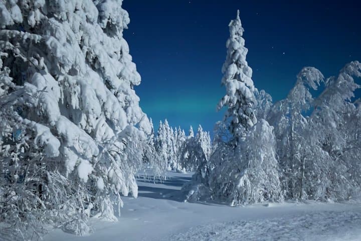Arctic Survival Mission Arctic Wilderness Challenge