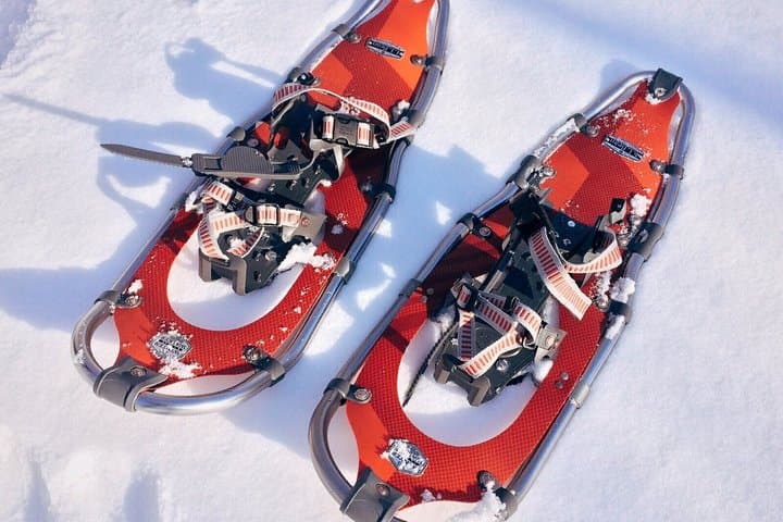 White Snowshoeing Experience in Levi