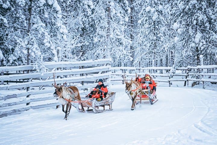 Rovaniemi Reindeer Ride and Farm Visit with Transfers