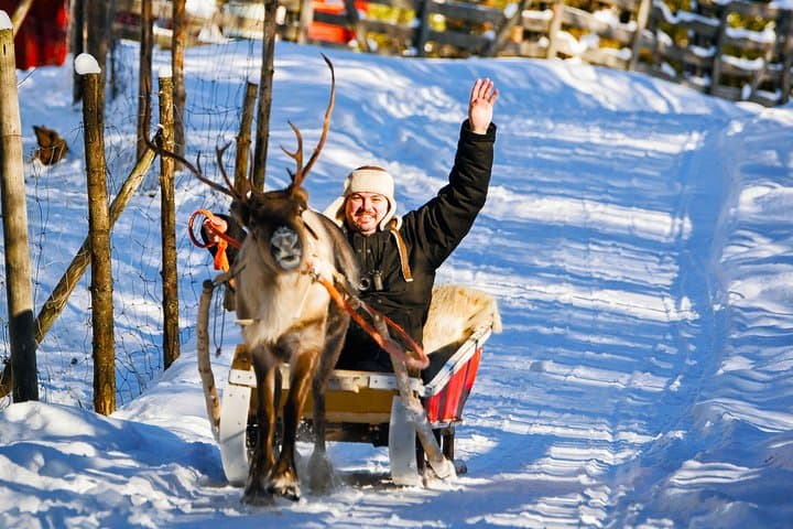 Rovaniemi Reindeer Ride and Farm Visit with Transfers